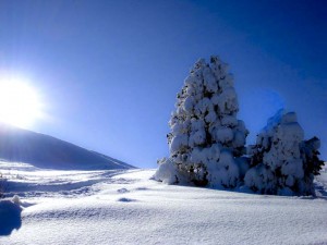 Parco del Corno alle Scale